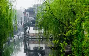 江南朱雀队鏖战河套战狼队,自行车淘汰赛失利,核心复出即建功。宿敌对话再升级 江南朱雀队鏖战河套战狼队,自行车淘汰赛失利,核心复出即建功。宿敌对话再升级